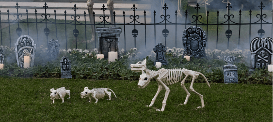 Halloween Skeletons and Cemetery