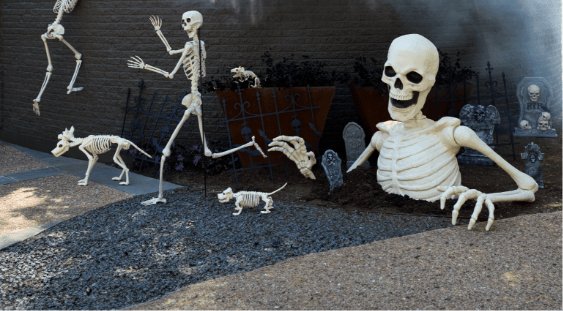 Halloween Outdoor Decor