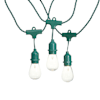 Edison String Lights