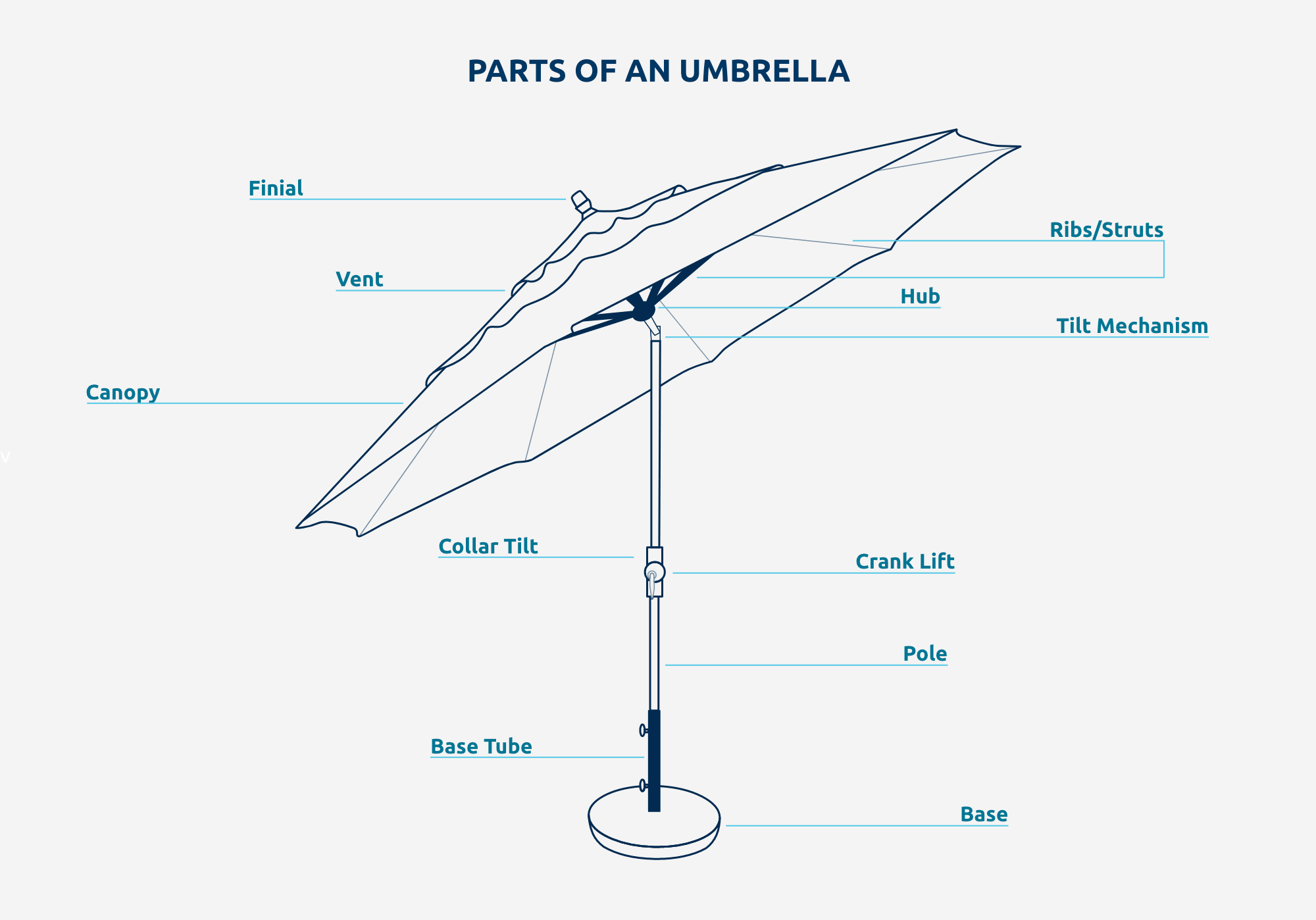 Pick A Perfect Umbrella | At Home