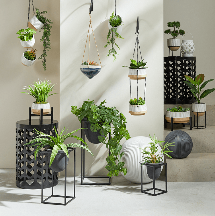 Hanging Planters