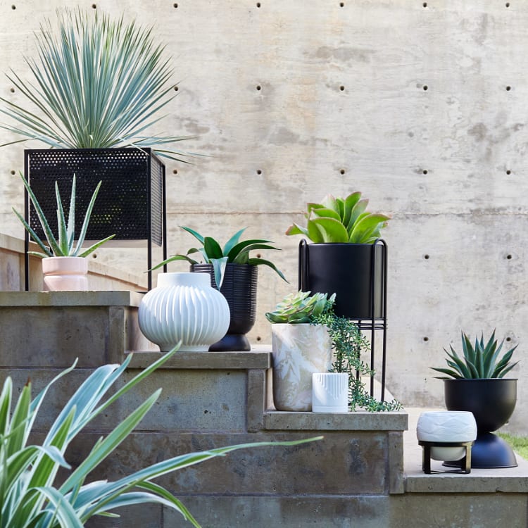 Planters