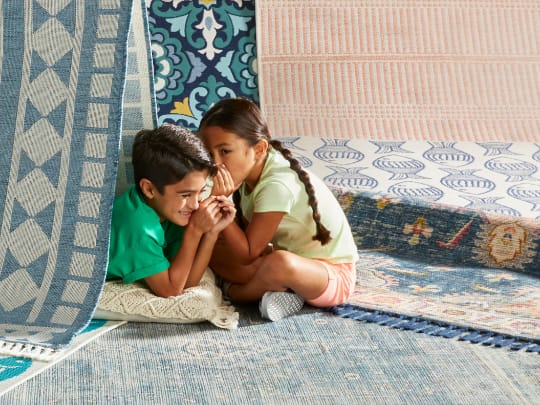 Shop Indoor and Outdoor Rugs Under $100