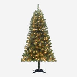 Shop Classic Trees