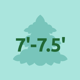 Shop Medium Trees