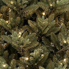 Shop LED Trees