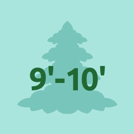 Shop Large Trees