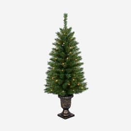 Shop Slim and Entryway Trees
