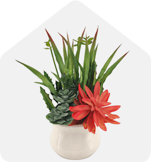 Artificial Flowers: Up to 50% off on plants and flowers for home