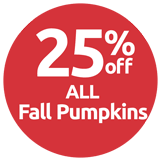 25% off fall pumpkins