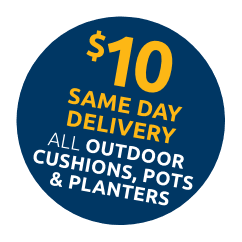 $10 Same Day Delivery