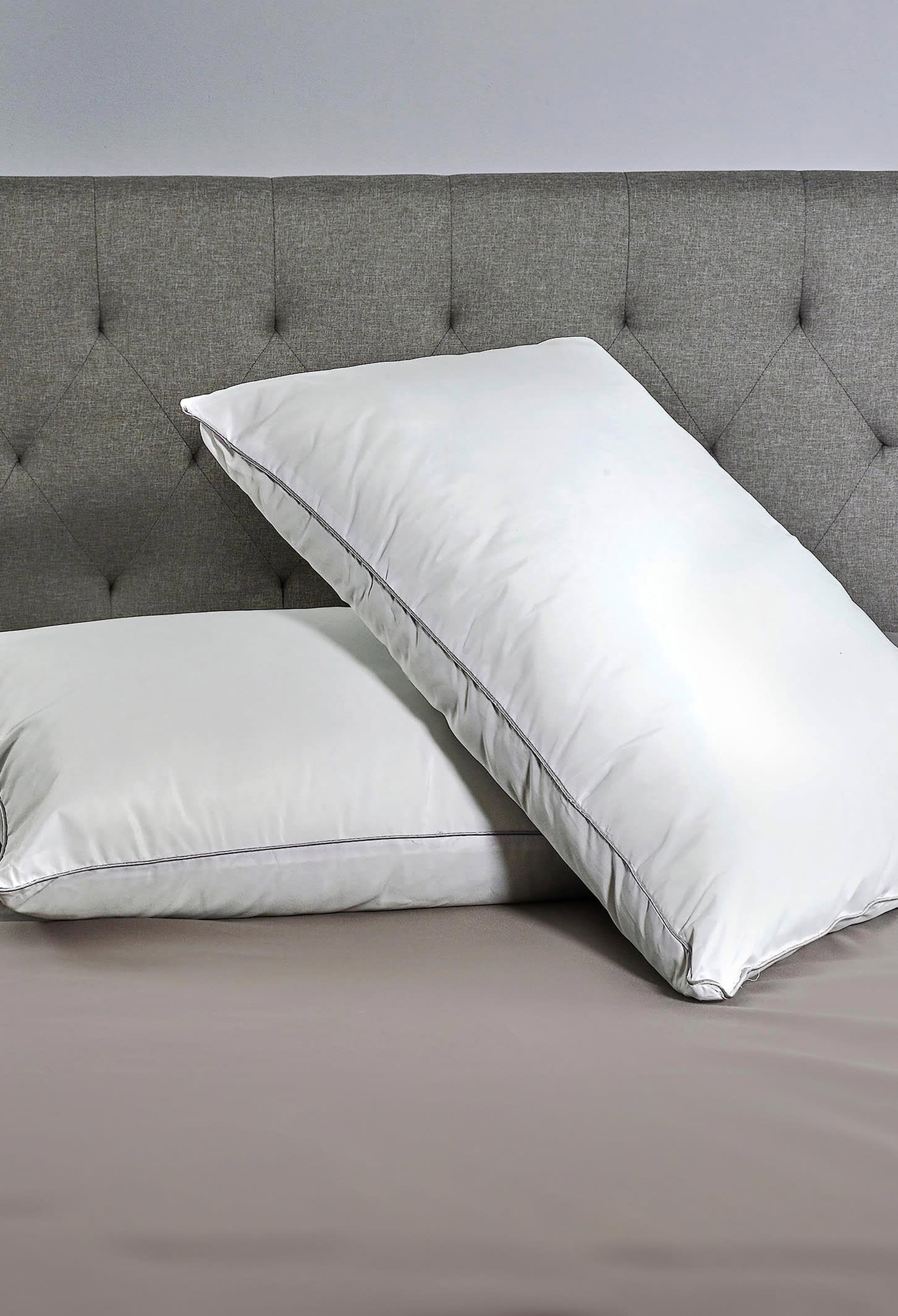 Bed Pillows & Protectors