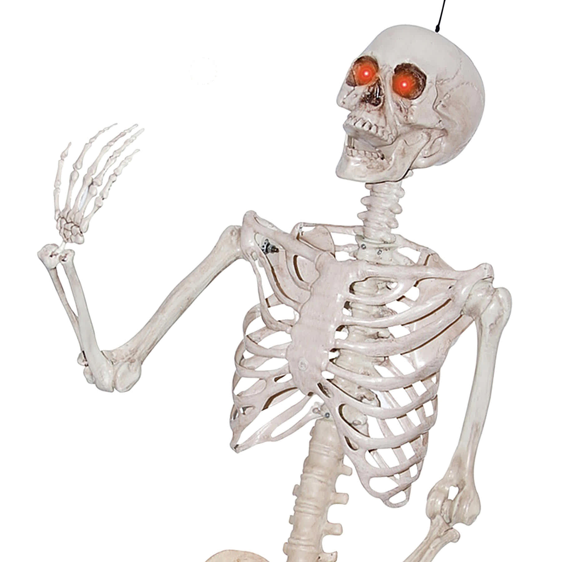 Skeletons
