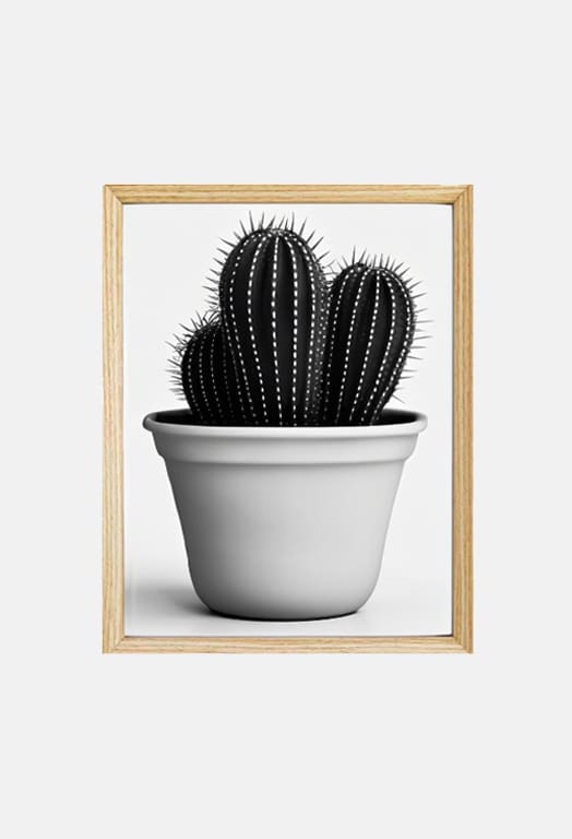 11x14 Frames