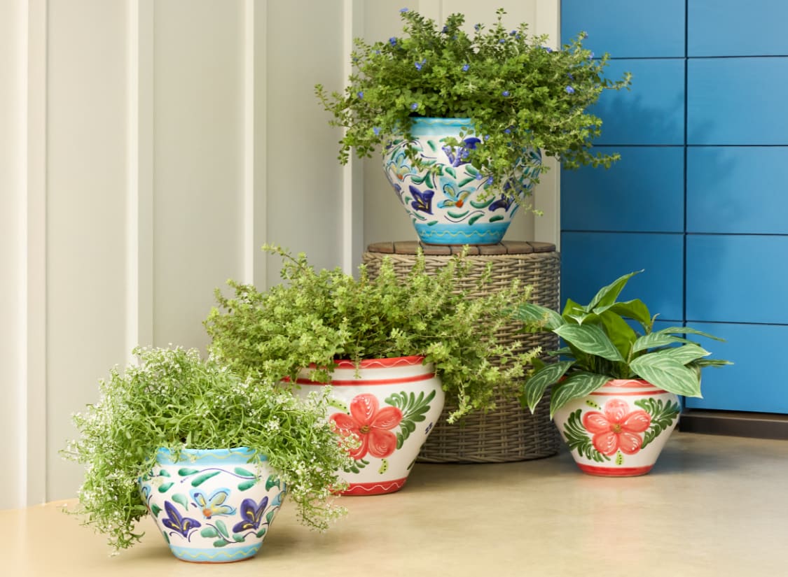 Shop pots and planters