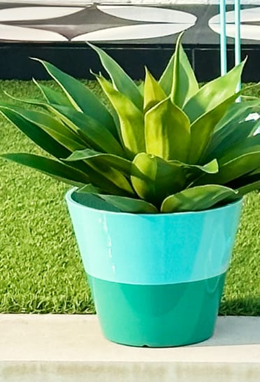 Pots & Planters