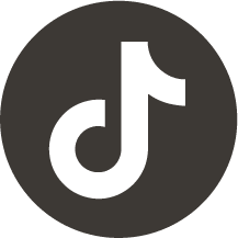 Tik Tok Icon