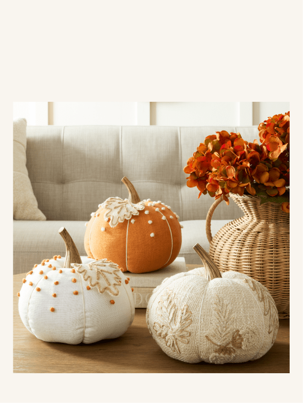 Pumpkins - Inspo Story