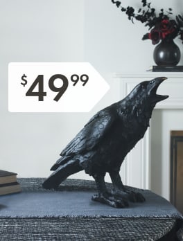 IAAP: Raven