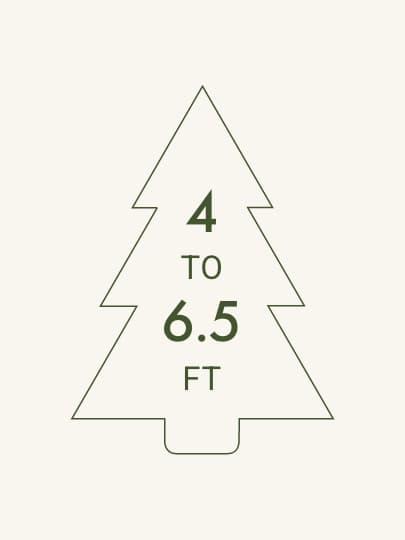 Small Christmas Trees