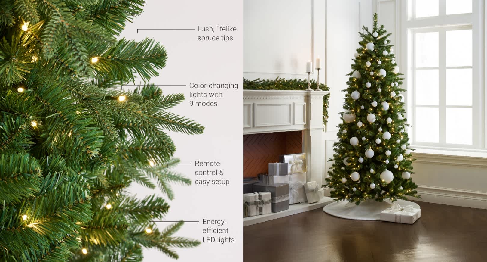 Alberta Tree Diagram