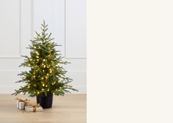 $64.99 4ft Potted Bradford Tree