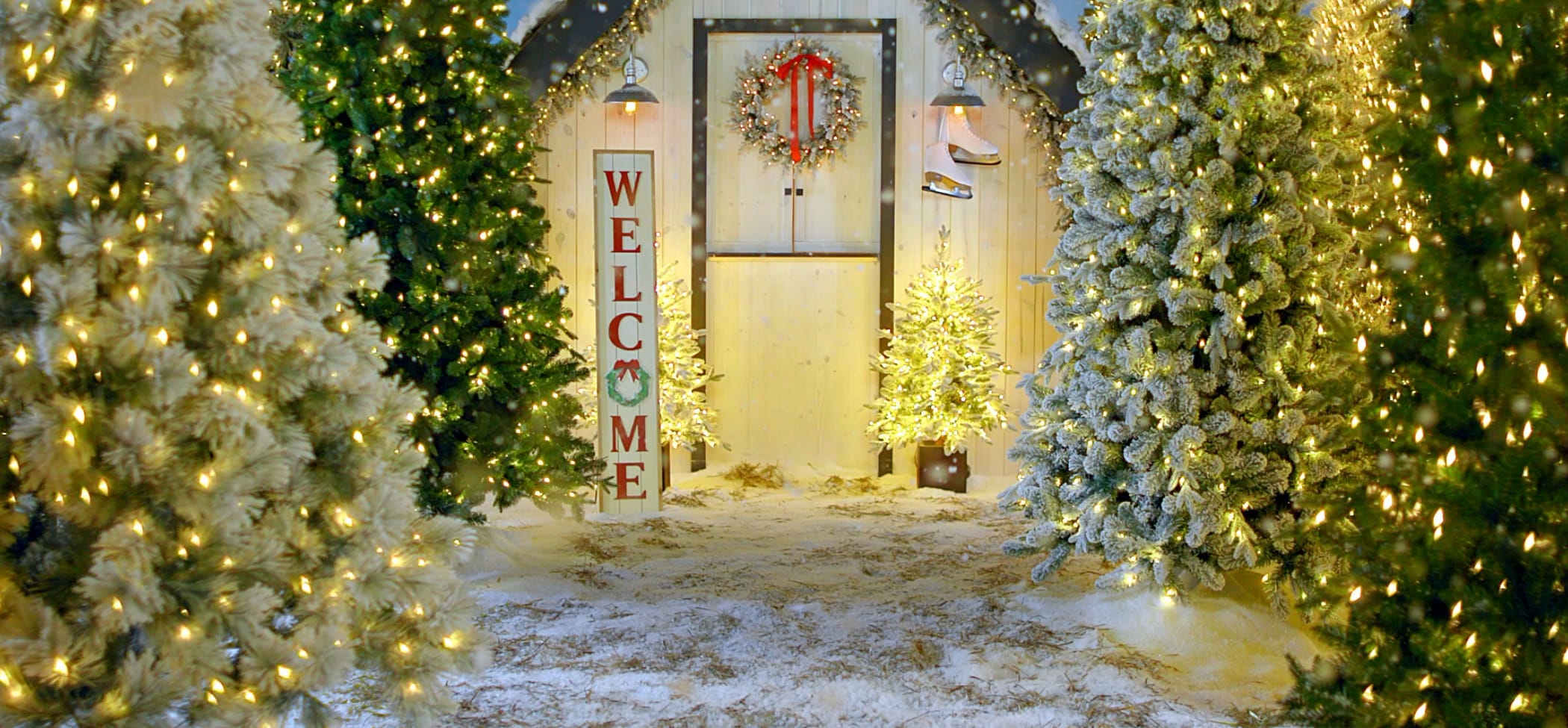 Shop All Christmas Trees