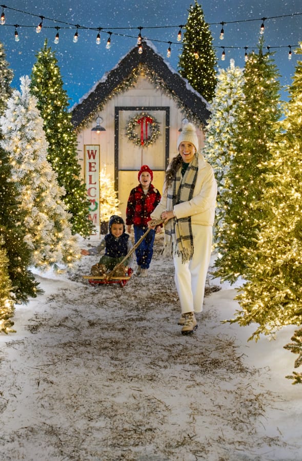 Shop All Christmas Trees