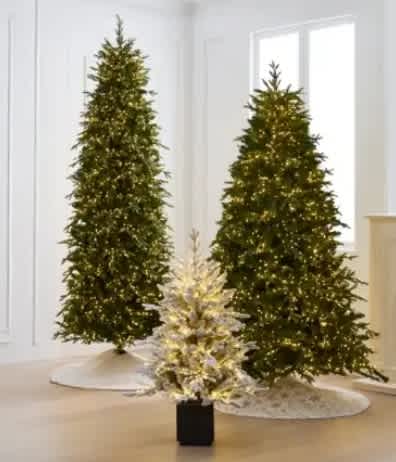 Shop Christmas Trees