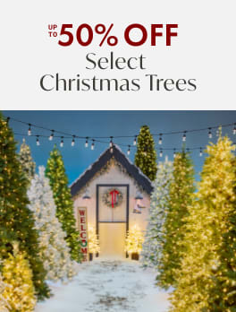 Up To 50% Off Select Christmas Trees