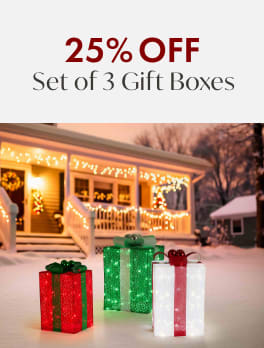 25% off Set of 3 Gift Boxes