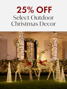 25% off Select Outdoor Christmas Decor