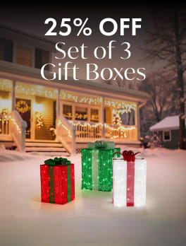 25% Off Set of 3 Gift Boxes