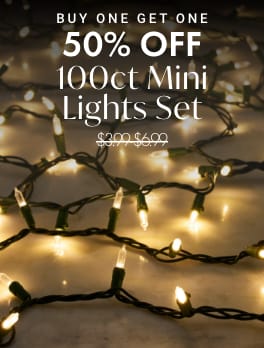 Buy One Get One 50% Off 100ct Mini Lights Set