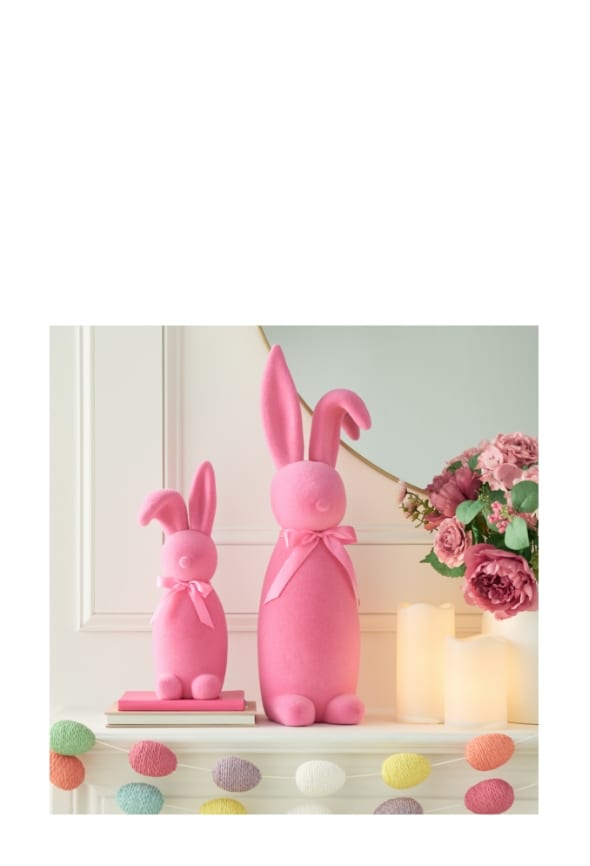 Shop Shop The Collection