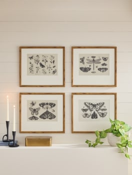Wall Décor