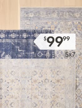 Shop Rugs