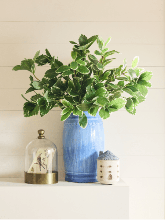 Décor