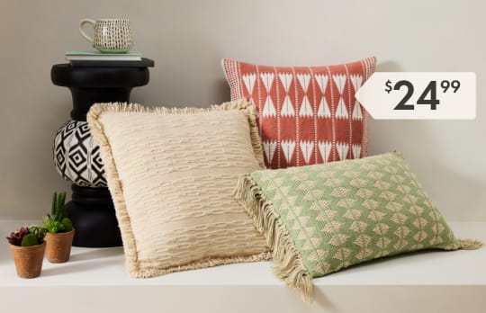 Shop Shop Pillows