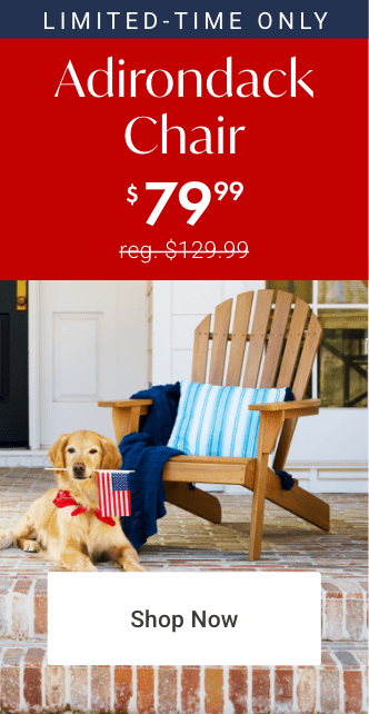 Shop Adirondack chair