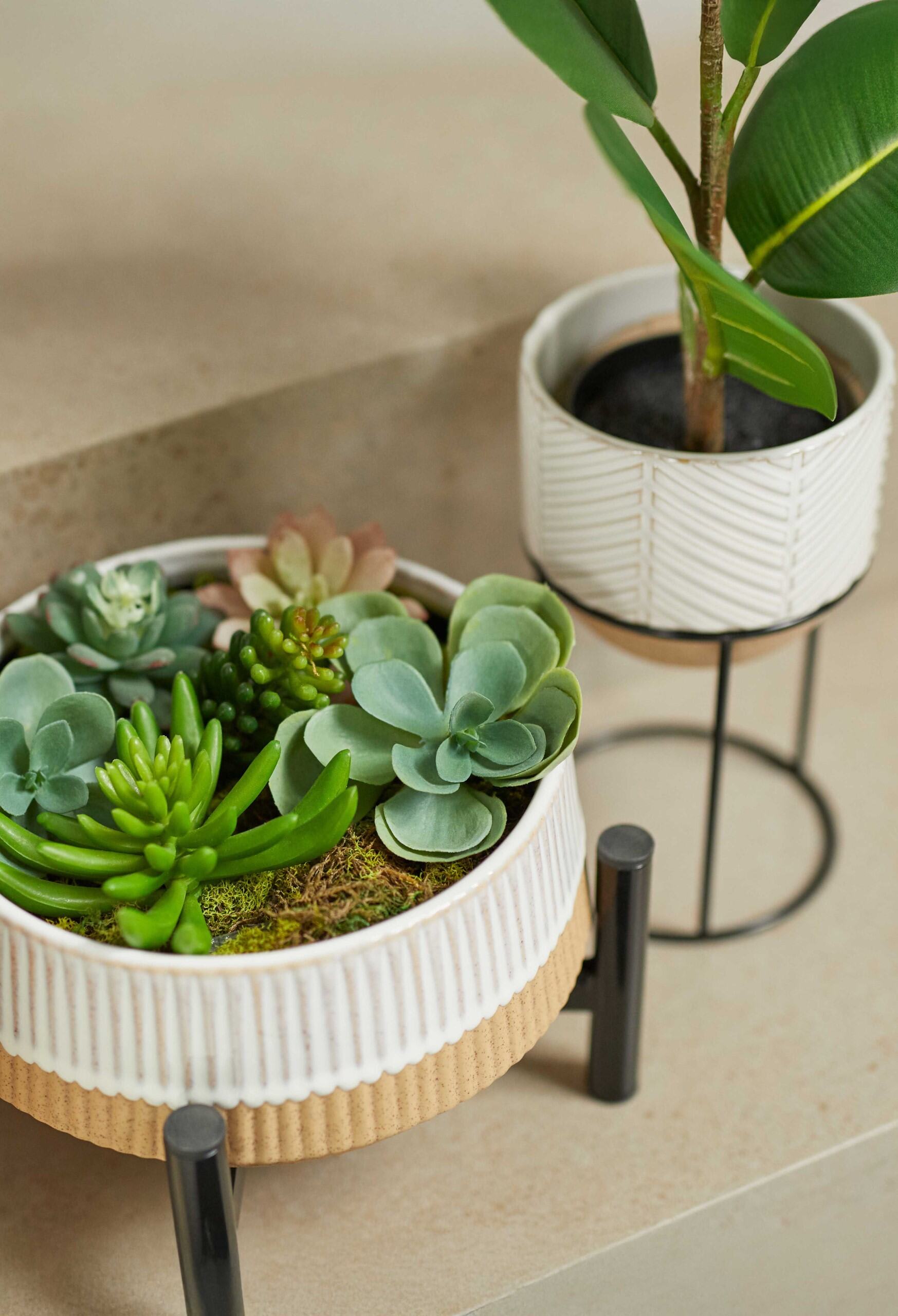 Plant Stands