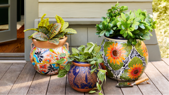 Outdoors Pots and Planters