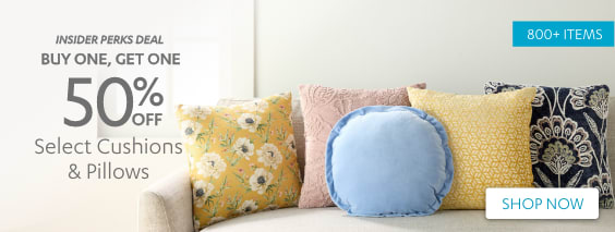BOGO Throw Pillows - Deal