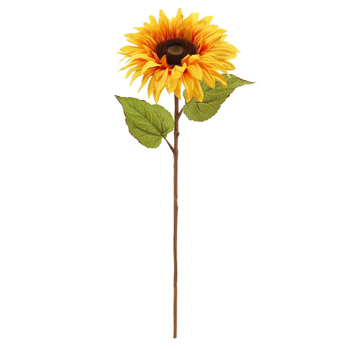 Floral Stems