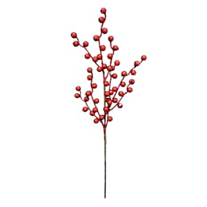 Branches & Stems