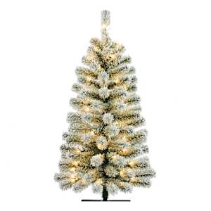 Douglas Fir