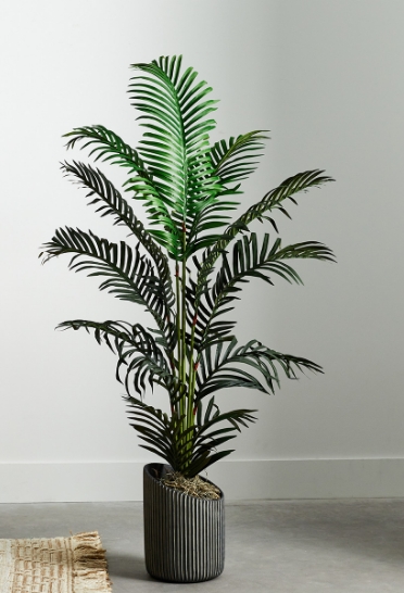 Trees, Plants & Topiaries