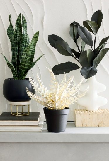 Floral Arrangements
