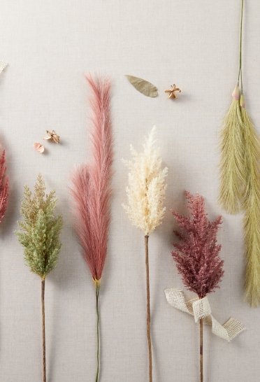 Dried Floral & Grass
