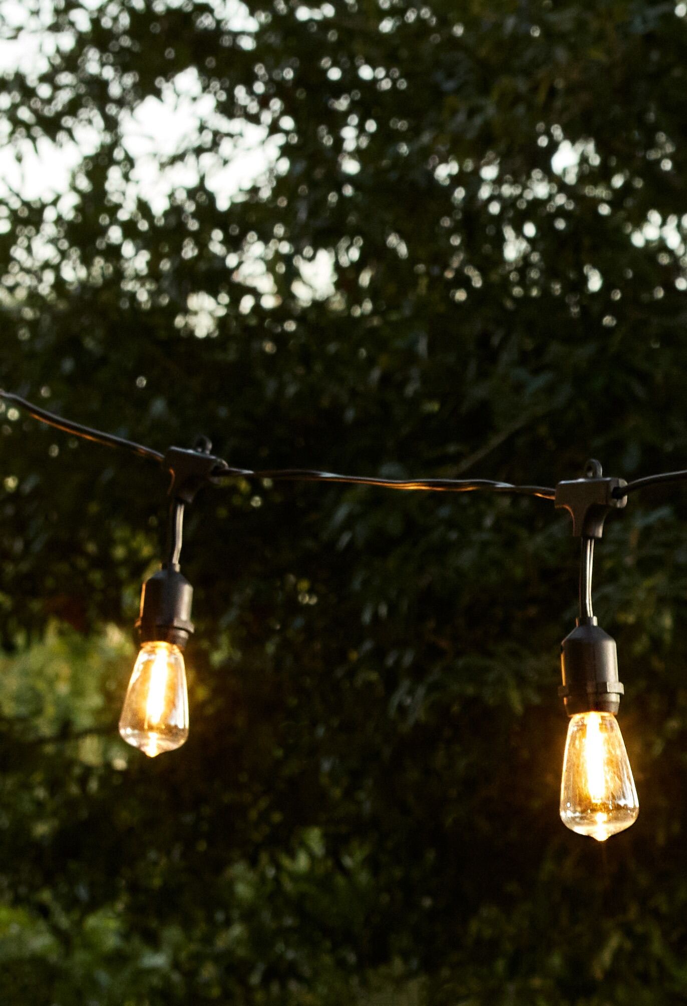 Wedding String Lights